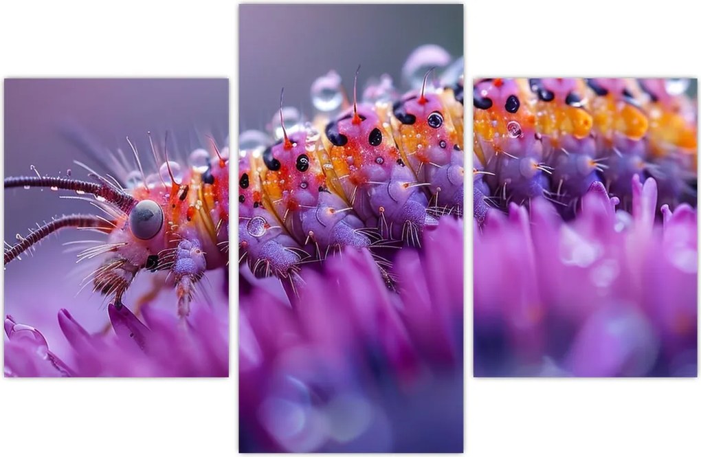 Tablou - Caterpillar (90x60 cm)