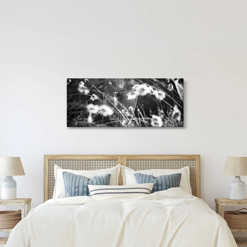 Tablou - Pânza de păianjen în pajiște (120x50 cm)
