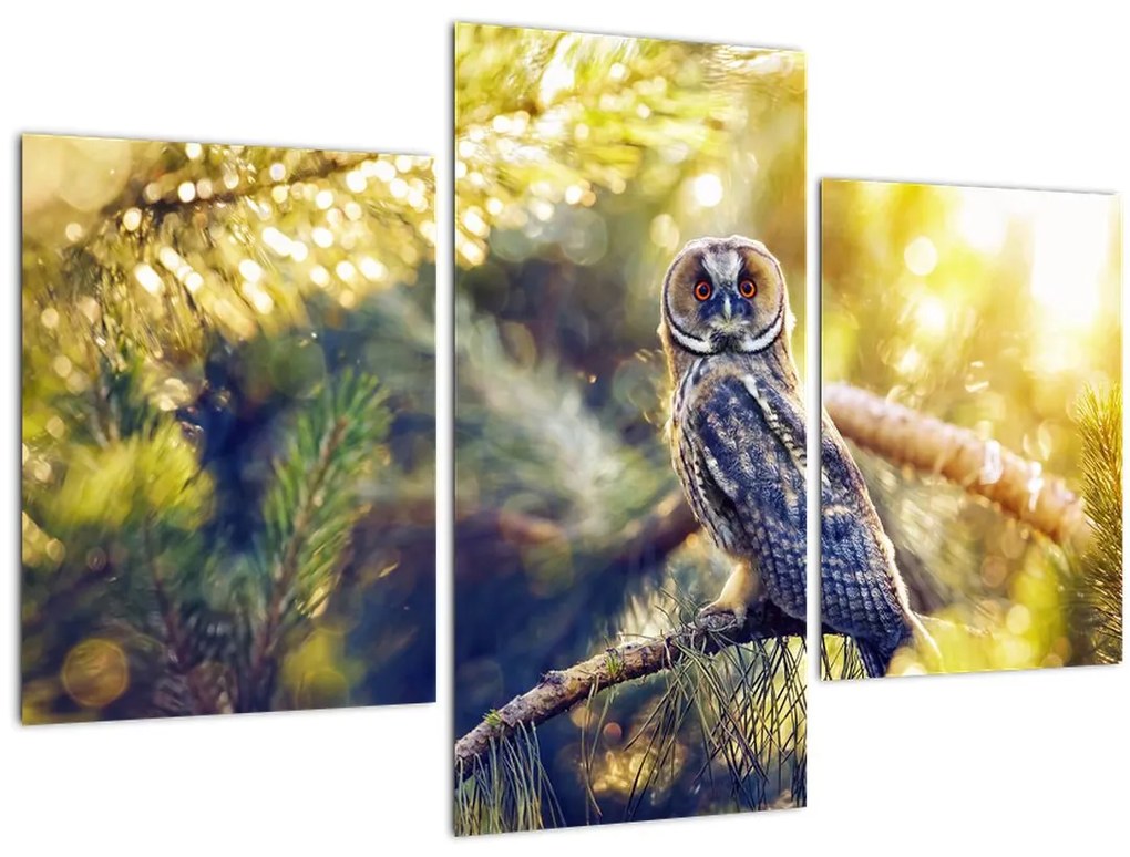 Tablou - Bufniță în copac (90x60 cm)