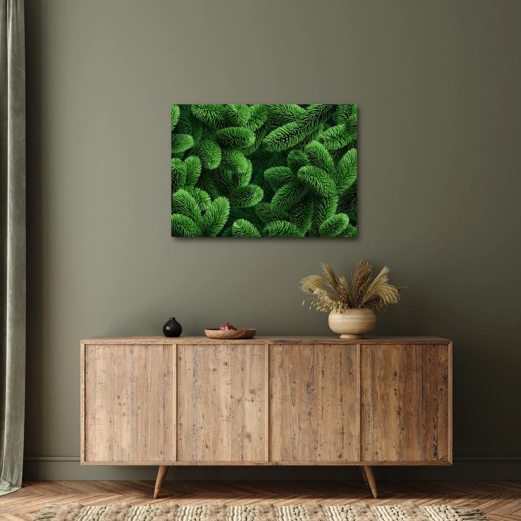Tablou - Ramuri de conifere (70x50 cm)