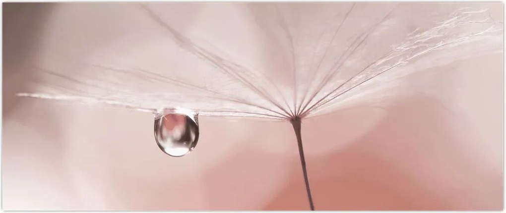 Tablou - O picătură de rouă (120x50 cm)