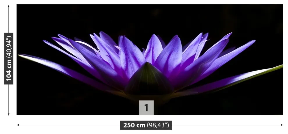 Fototapet Purple Lotus