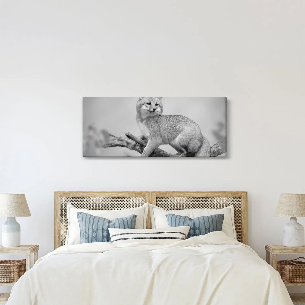 Tablou - Vulpe gri (120x50 cm)