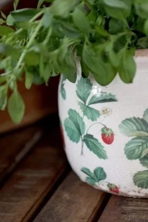 Ghiveci din ceramică crem cu model căpșuni „Fraises”, H13/D15.5 cm