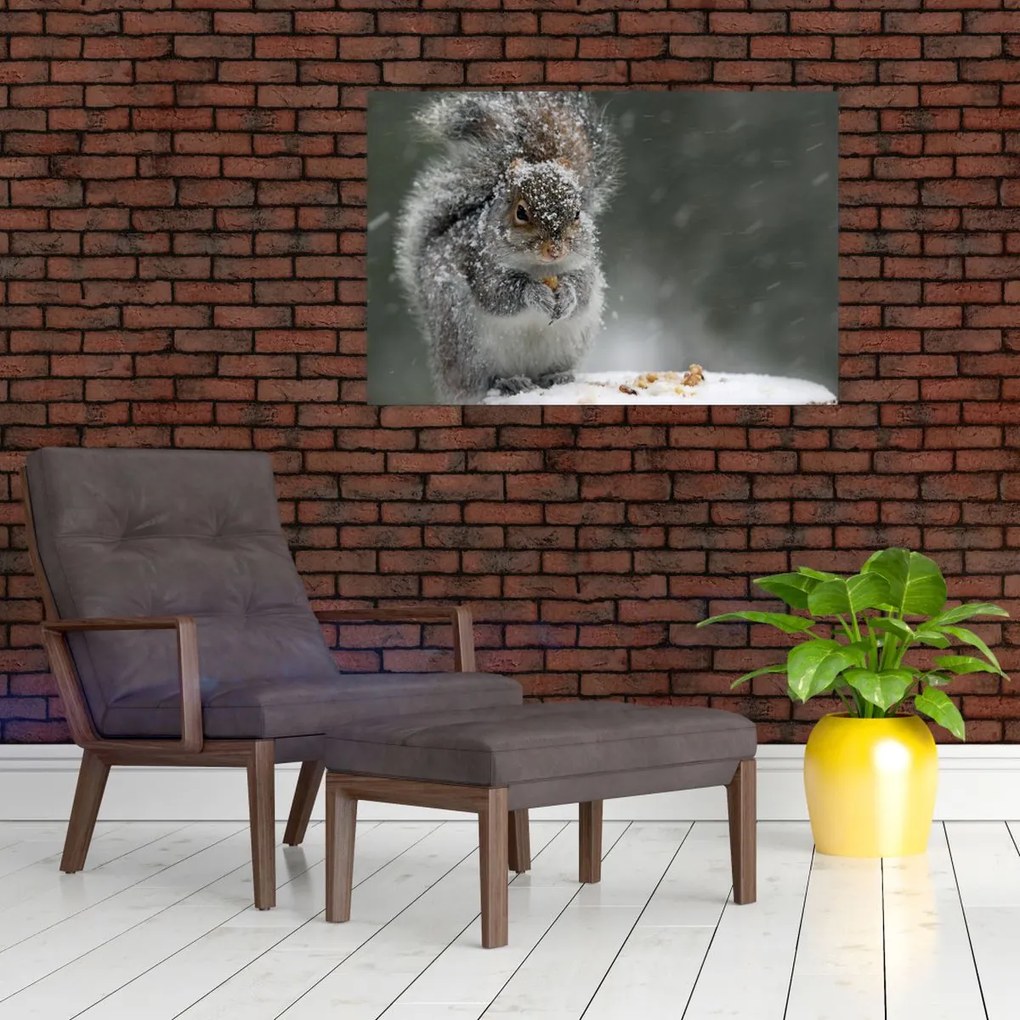 Tablou - Veveriță iarna (90x60 cm)