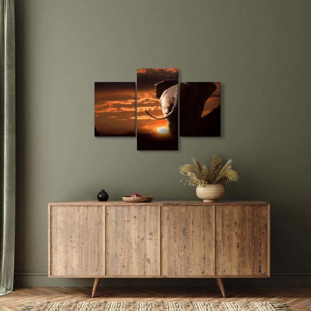 Tablou cu elefant (90x60 cm)
