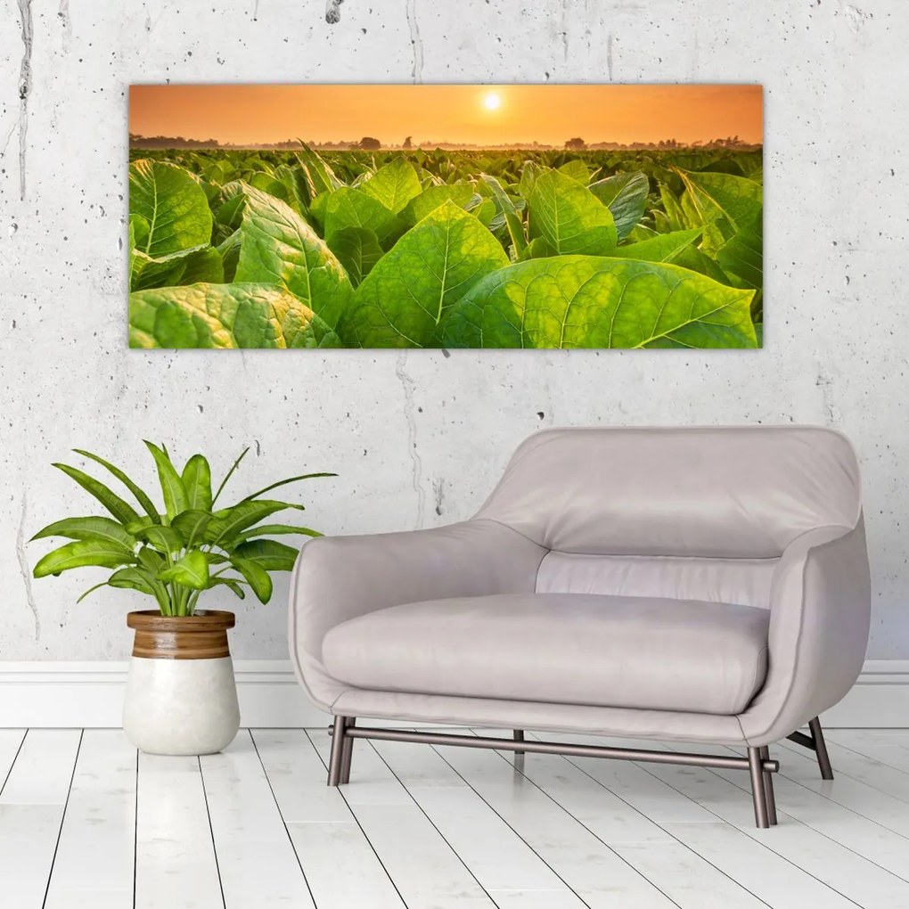 Tablou - Câmp (120x50 cm)