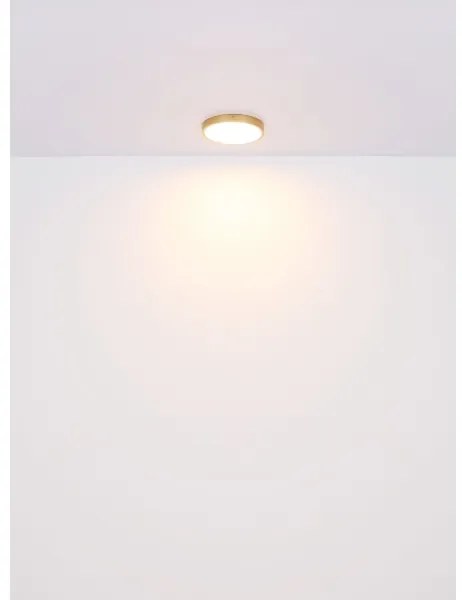 Plafonieră LED TIBEY LED/30W/230V d. 45 cm Globo 12381-30