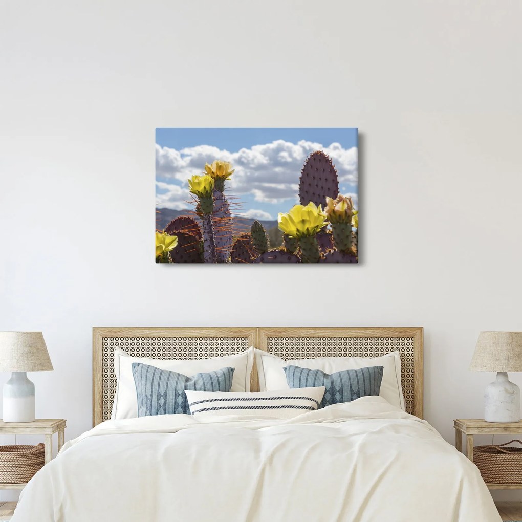 Tablou cu floarea de cactus Opunție (90x60 cm)