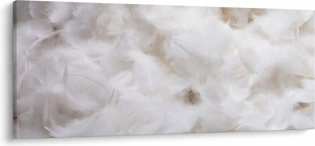 Tablou - Pene albe (120x50 cm)