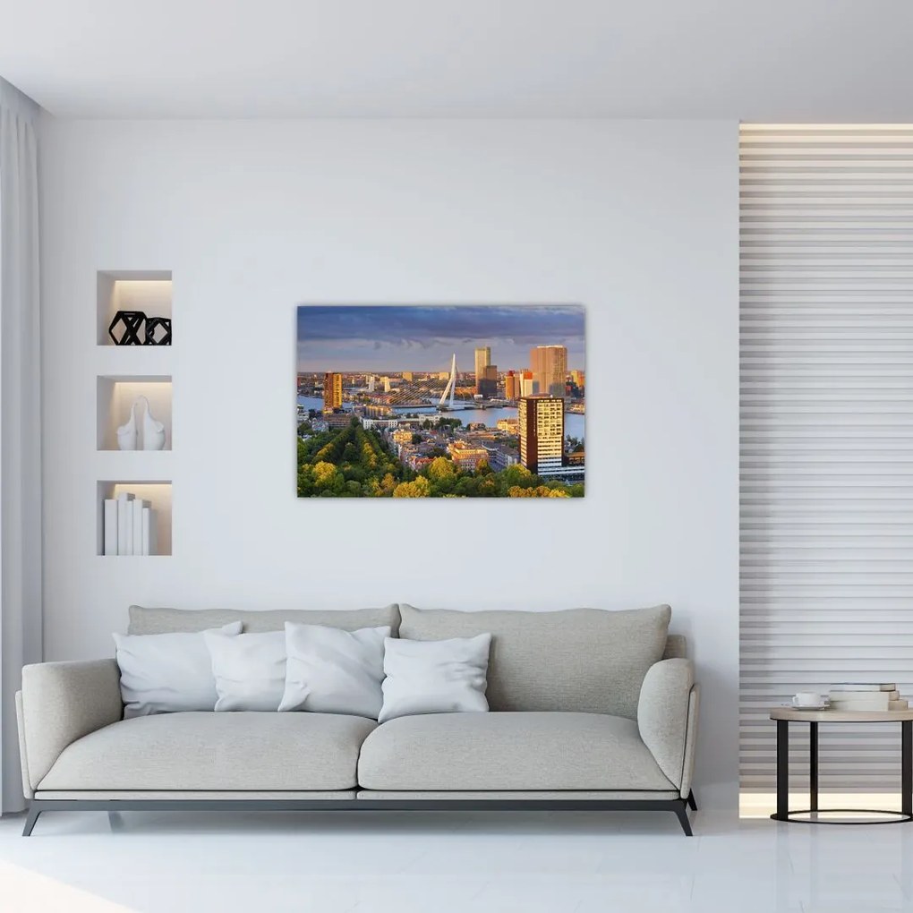 Tablou - Panorama Rotterdamului, Țările de Jos (90x60 cm)