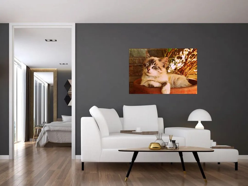 Tablou cu pisica în ghiveci (90x60 cm)