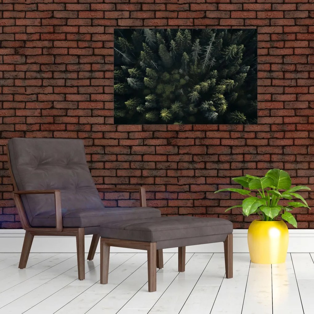 Tablou - Pădure (90x60 cm)