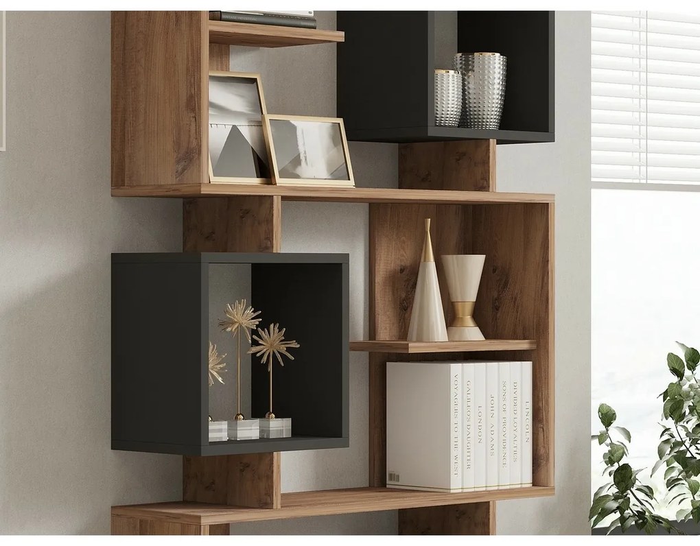 Biblioteca Icardi Anthracite and Atlantic Pine