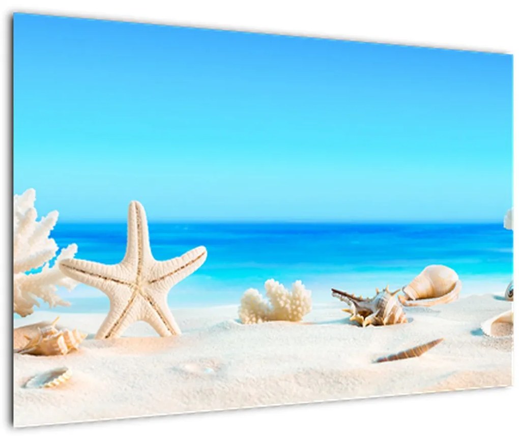 Tablou - Natura morta cu scoici (90x60 cm)