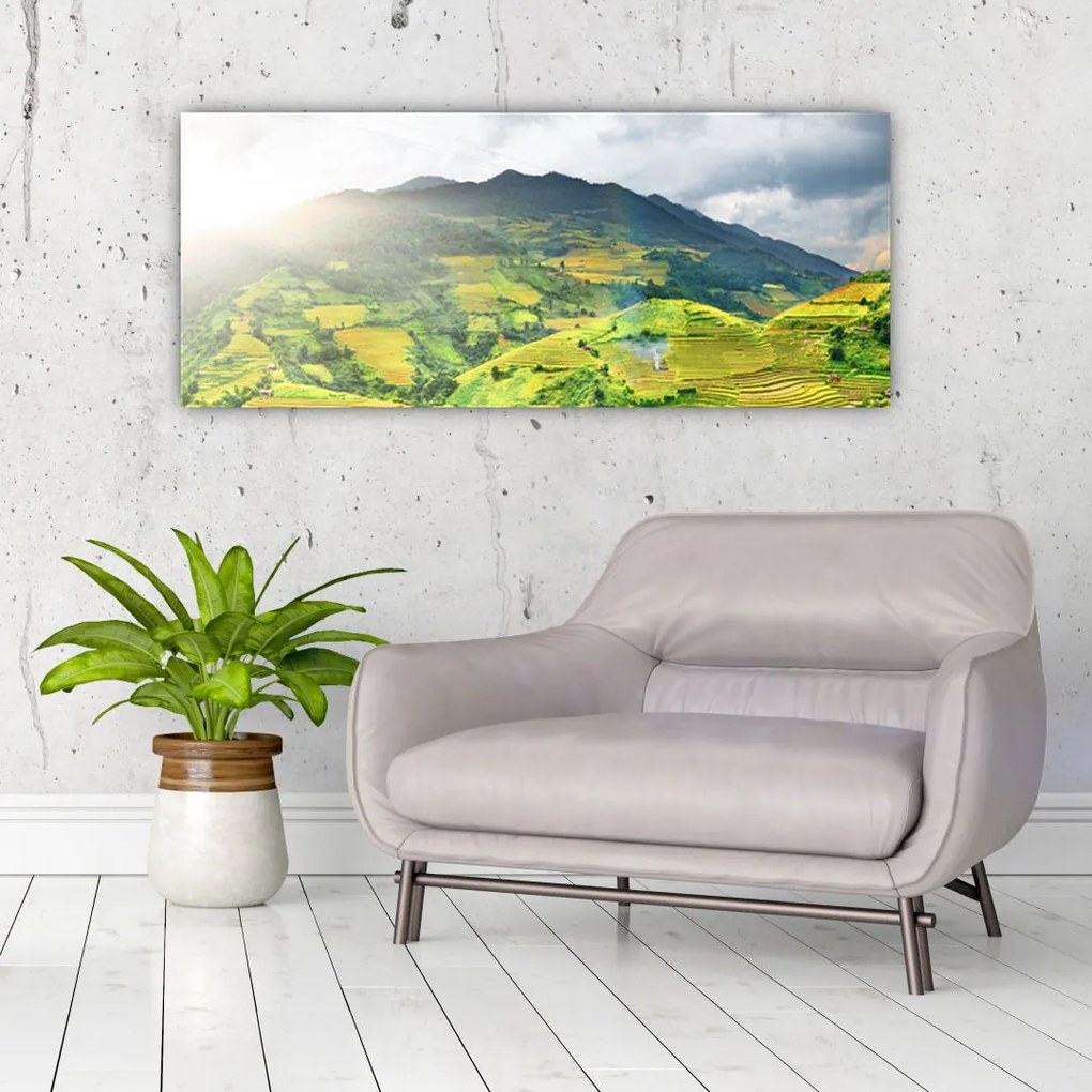 Tablou plantație (120x50 cm)