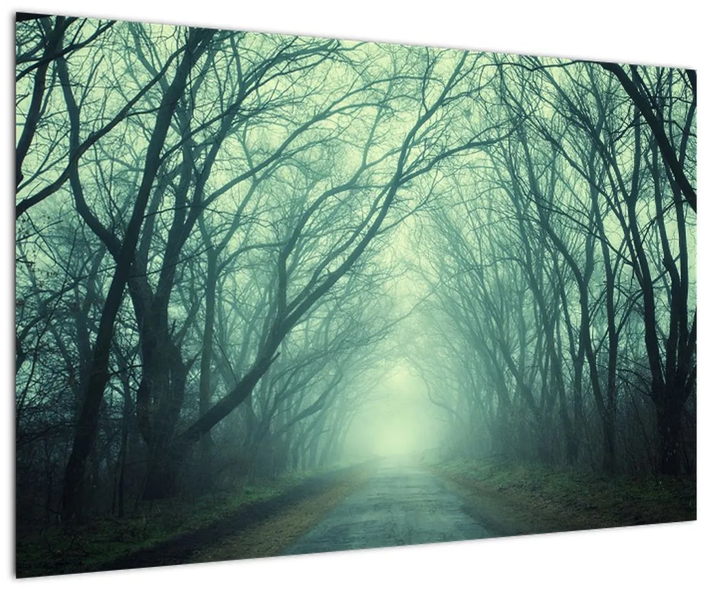 Tablou - Alee cu copaci (90x60 cm)