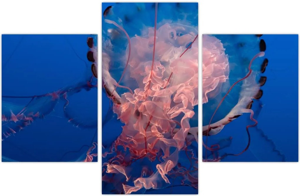 Tablou - Medusa (90x60 cm)