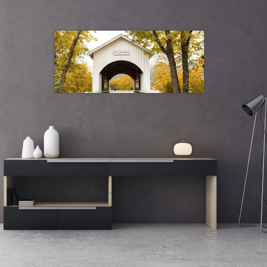 Tablou cu podul în Oregon (120x50 cm)
