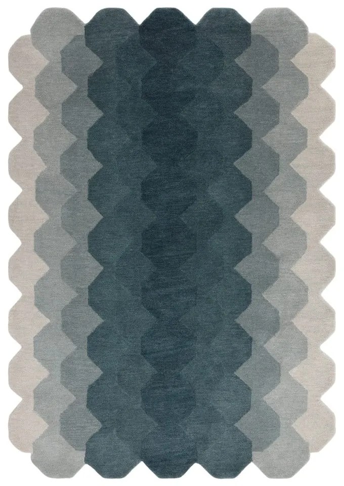 Covor albastru din lână 160x230 cm Hive – Asiatic Carpets