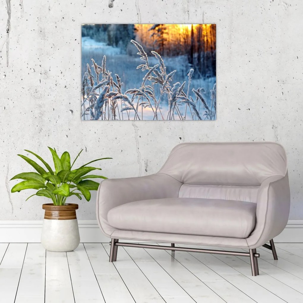 Tablou - Pajiște de iarnă (70x50 cm)