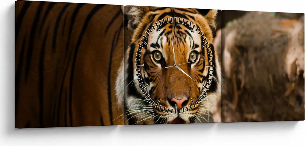 Tablou cu tigrul (cu ceas) (90x30 cm)