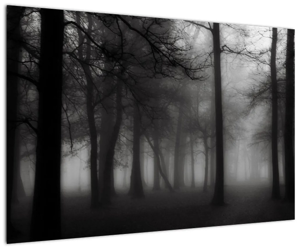 Tablou - Pădure în ceață (90x60 cm)