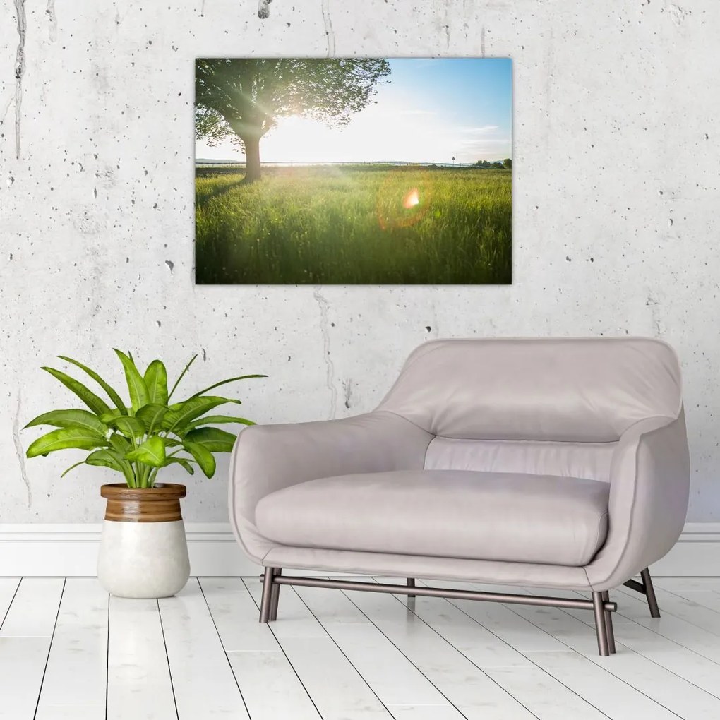 Tablou pe sticlă cu lunca în vară (70x50 cm)