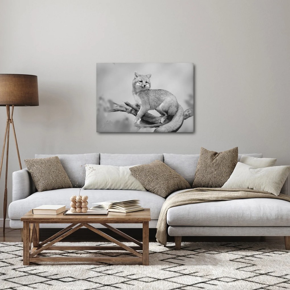 Tablou - Vulpe gri (70x50 cm)