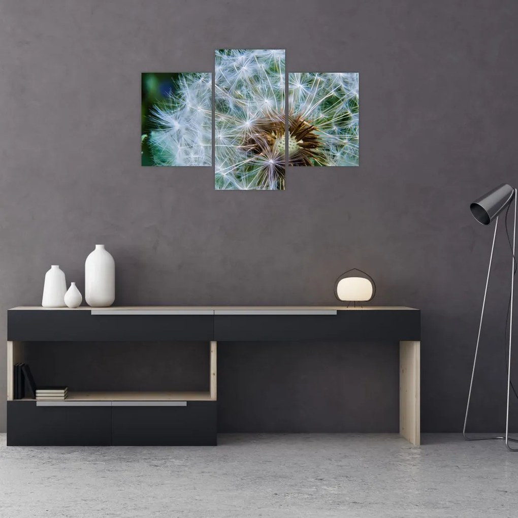 Tabloul cu păpădie desflorit (90x60 cm)