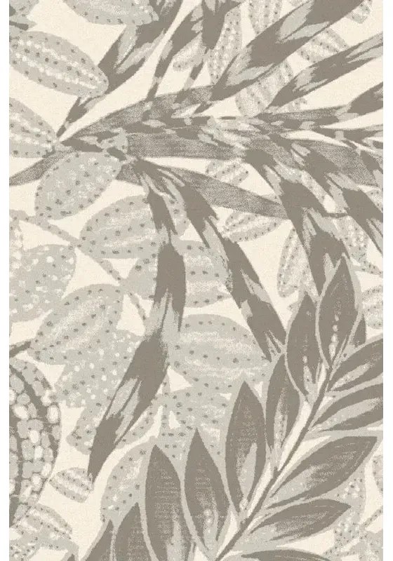 Covor lana Zamio popielaty grey Selectează mărime: 160 X 240