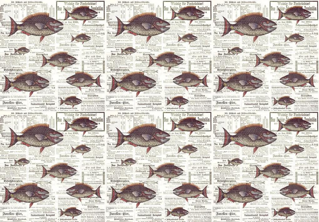 Fototapet - Piranhas în ziare vechi (254x184 cm), în 8 de alte dimensiuni noi