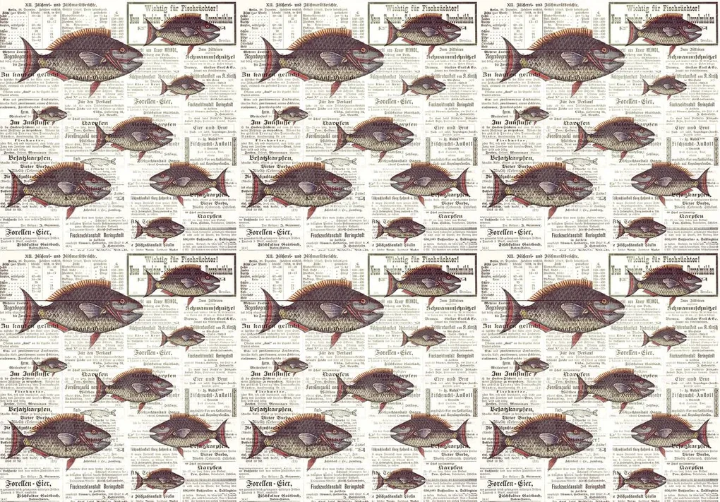 Fototapet - Piranhas în ziare vechi (254x184 cm), în 8 de alte dimensiuni noi