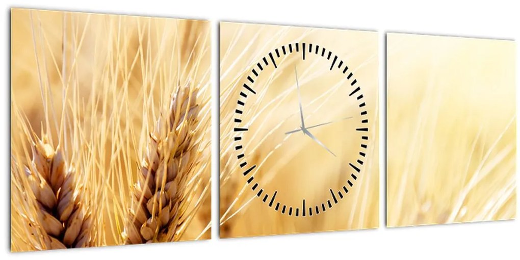 Tablou- detaliu cu (cu ceas) (90x30 cm)
