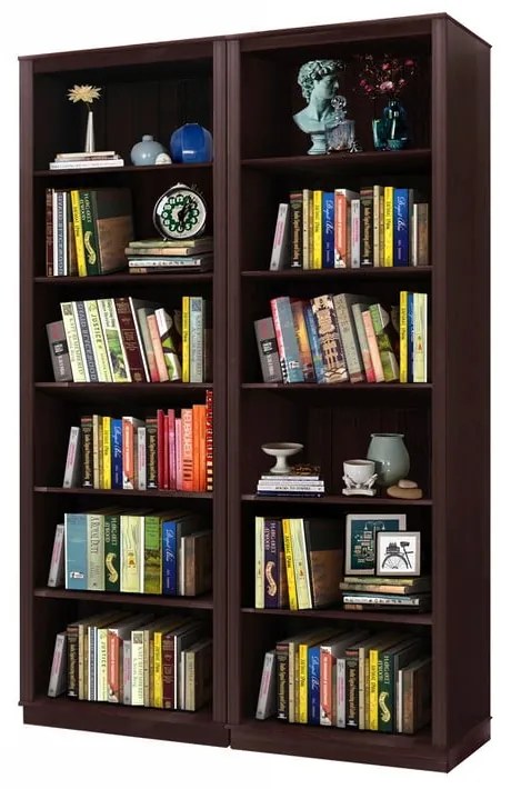 Bibliotecă maro din lemn de pin 148x223 cm Anita – Støraa