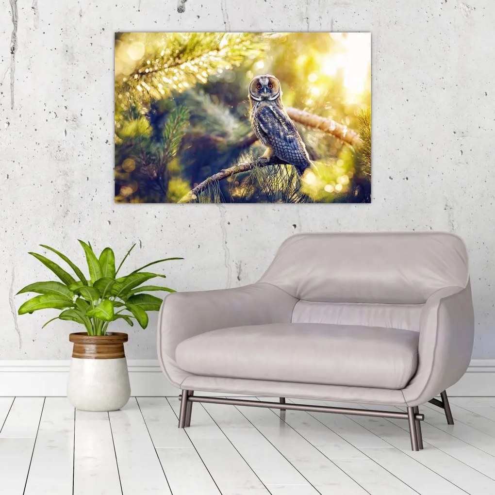 Tablou - Bufniță în copac (90x60 cm)