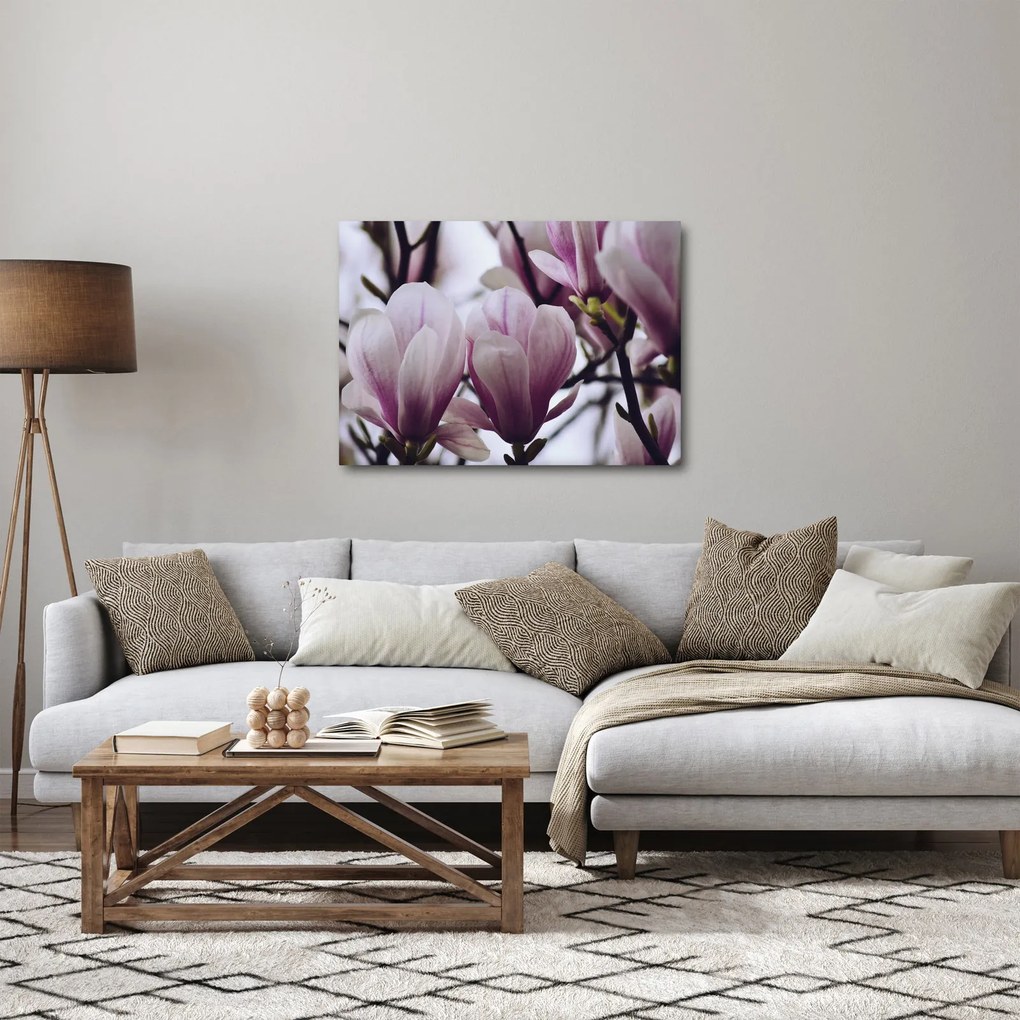 Tablou - Magnolie (70x50 cm)
