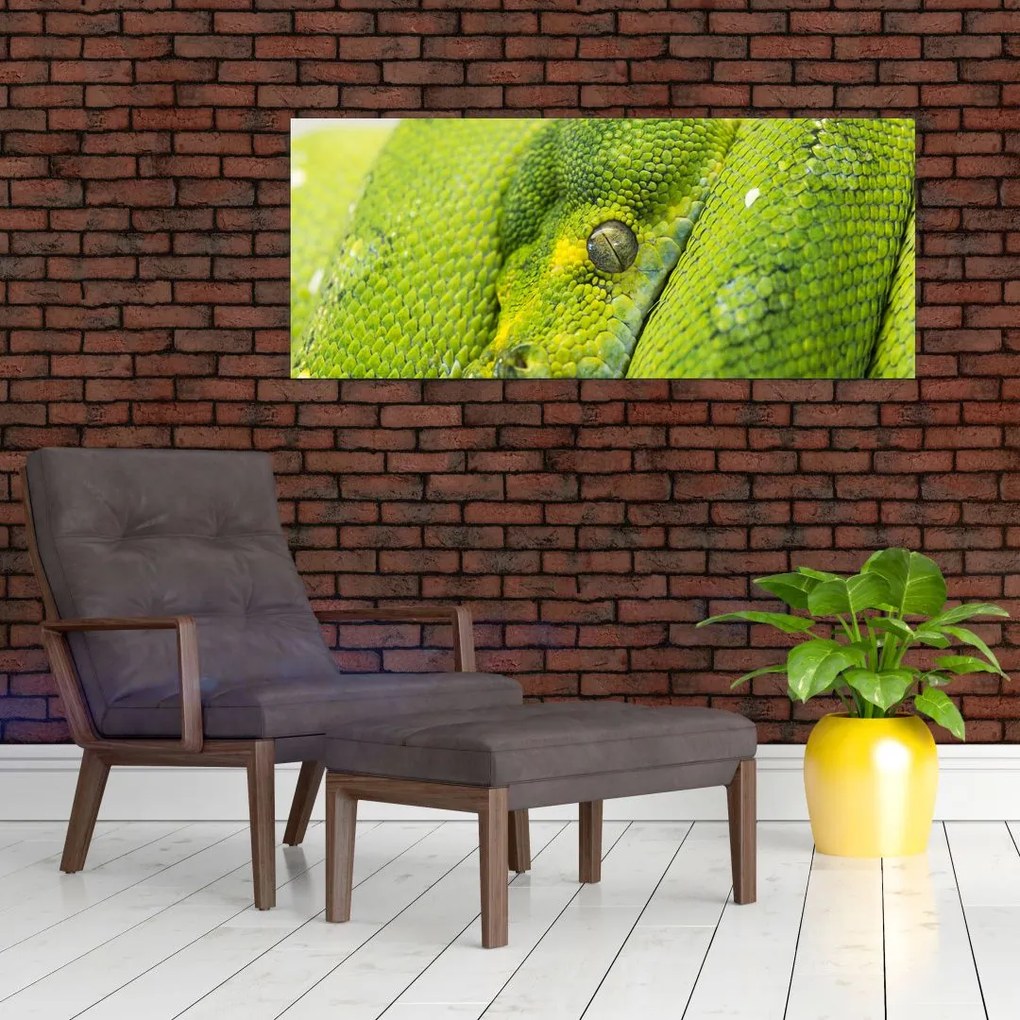 Tablou cu șarpe (120x50 cm)