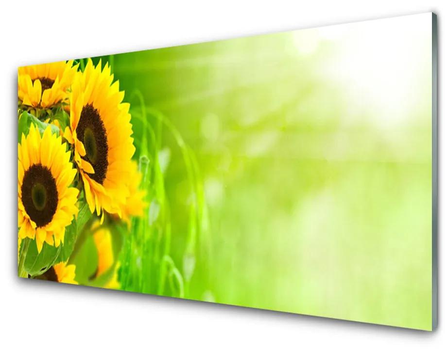 Tablouri acrilice Floarea soarelui Floral Brun Galben Verde