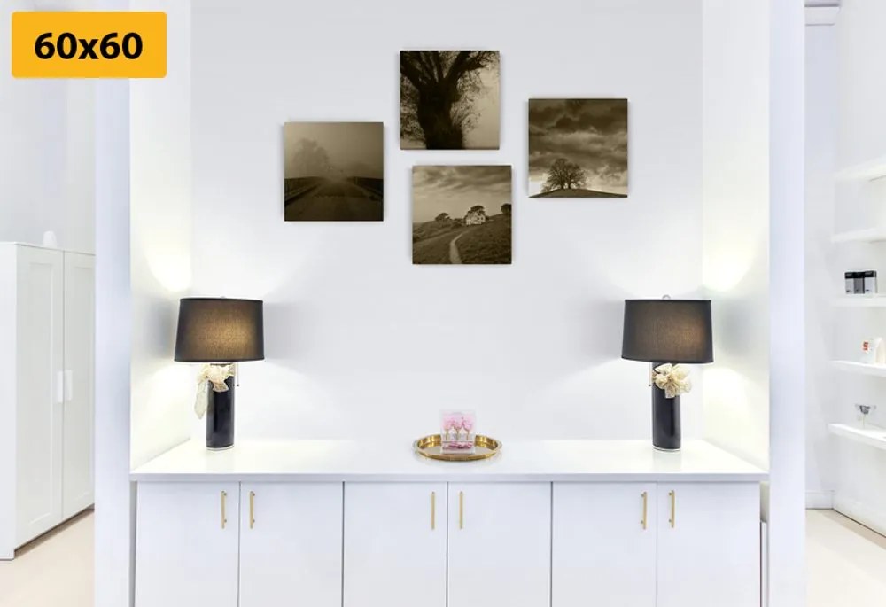 Set tablouri natura misterioasă în design sepia