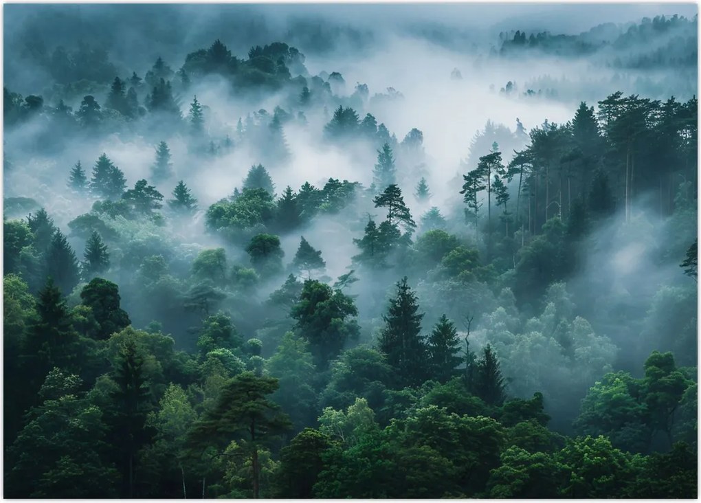 Tablou pe sticlă - Pădure în Ceață (70x50 cm)