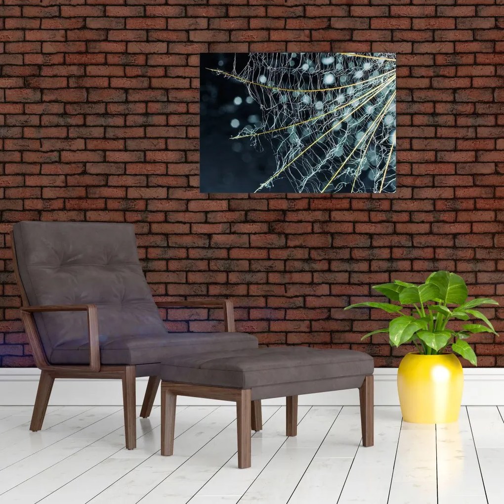 Tablou pe sticlă - Floare cu pânză de pâianjen (70x50 cm)