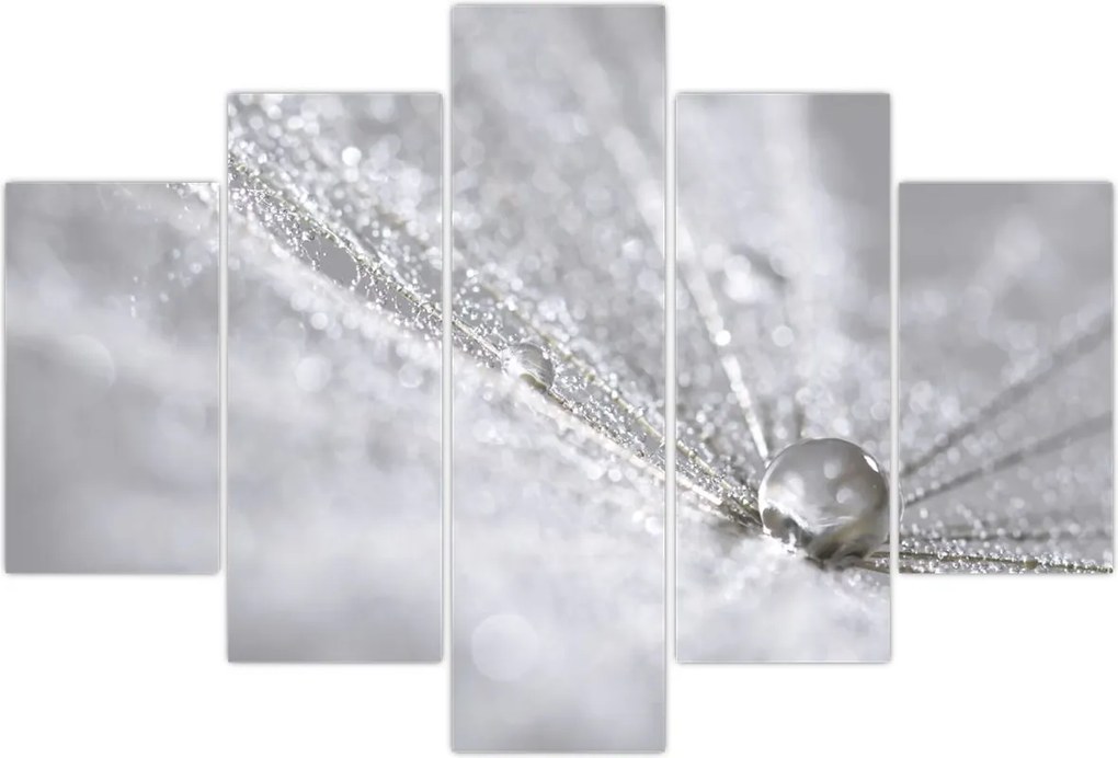 Tablou - Picătură de apă (150x105 cm)