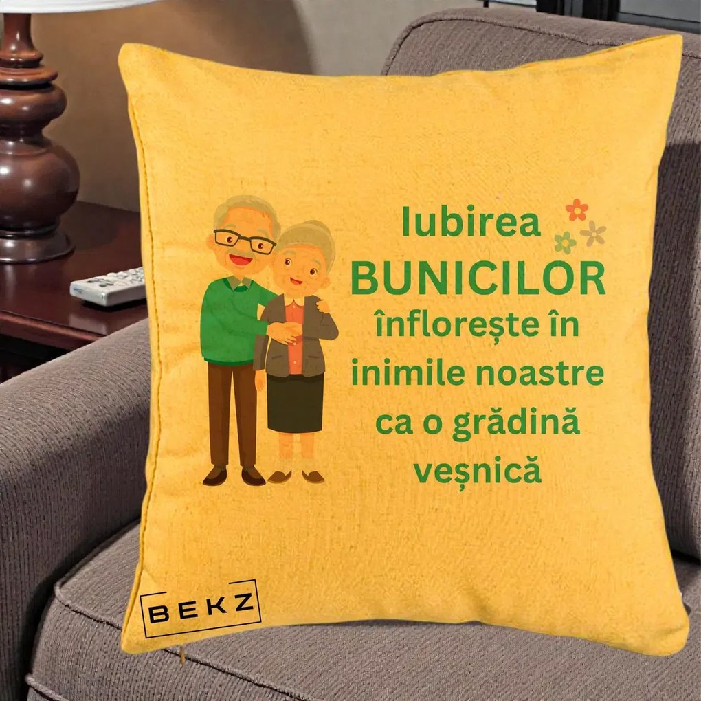 Cadou pentru Bunici - Perna Personalizata Bunicii Iubirea Infloreste Cuplu Senior Teal, 40x40 cm, Galben, Husa Detasabila, Perna Inclusa, BEKZ®