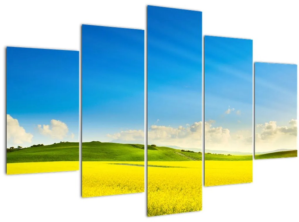 Tablou - Cerul de primăvară (150x105 cm)