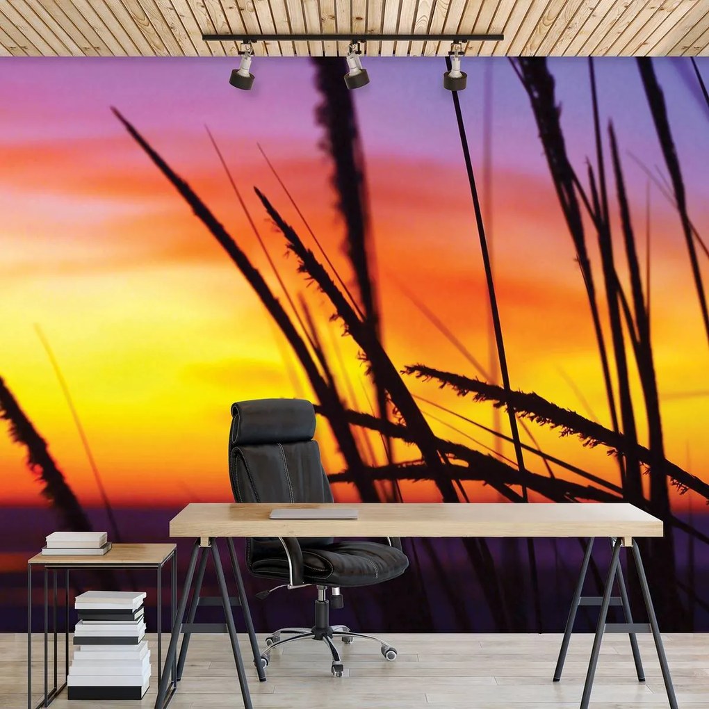 Fototapet - Iarba pe plajă (152,5x104 cm)