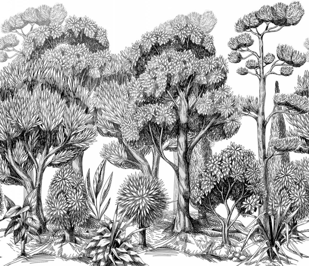 Fototapet, Forest Park, Graphite, Rebel Walls