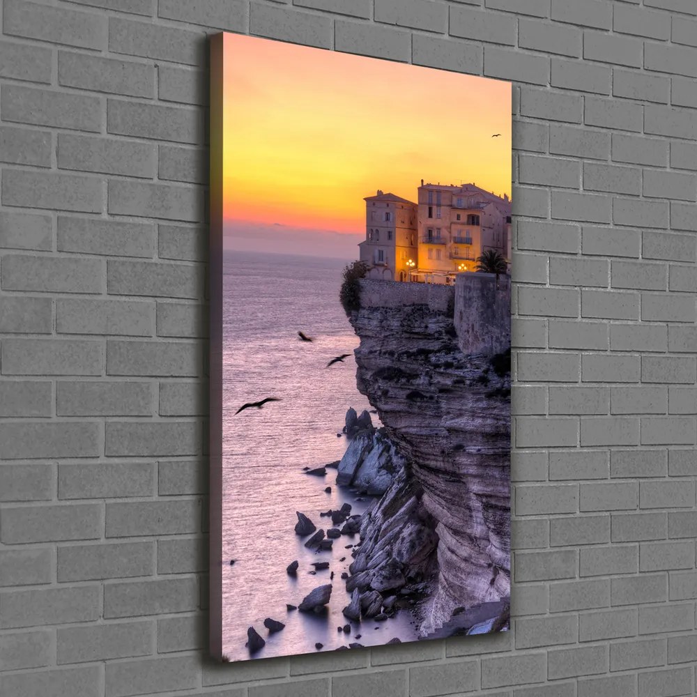 Print pe canvas Case pe stâncă
