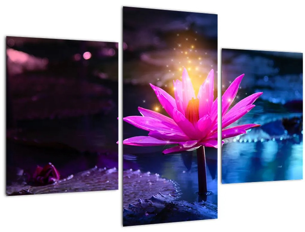 Tablou cu lotus pe apă (90x60 cm)