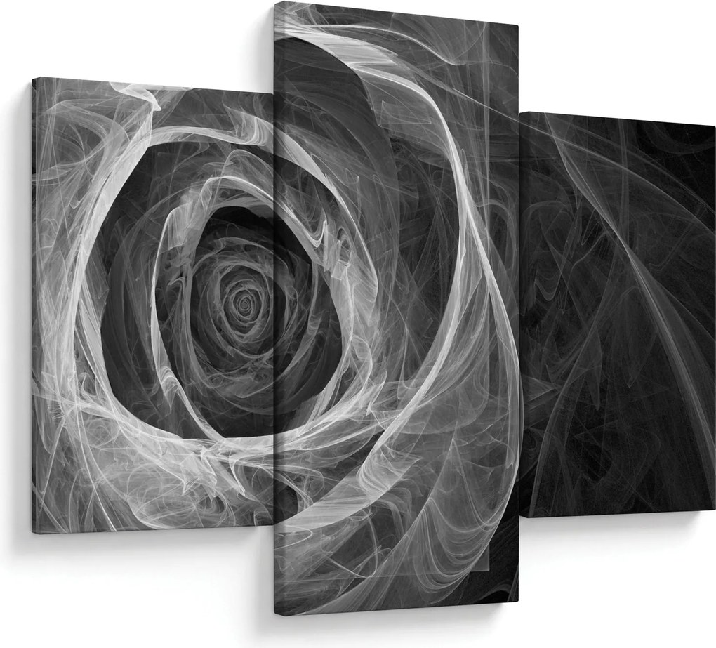 Tablou - Abstract trandafir negru și alb (90x60 cm)